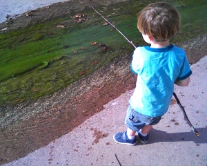 Fishing for algae in the canal at the park.