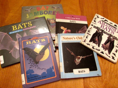 bat books from the library